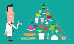Sağlıklı Beslenme ve İç Organlar