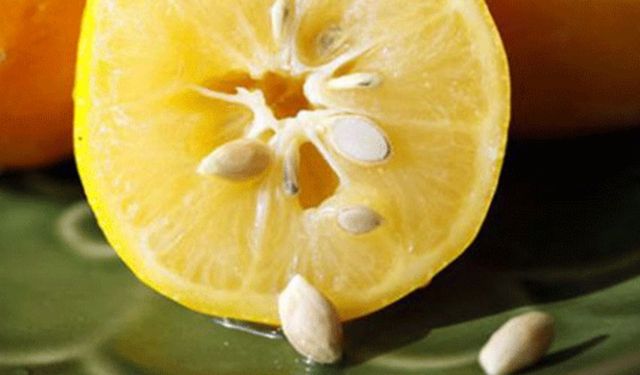 Limon Çekirdeklerinin Sağlık İçin Mucizevi Faydaları!