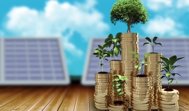 Sürdürülebilir Finansın Öncüsü: Banka Yeşil Projelere Destek Veriyor