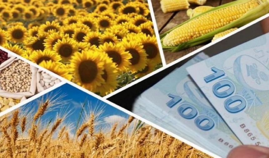 Türkiye'de Tarımsal Destek Ödemeleri Arttırıldı